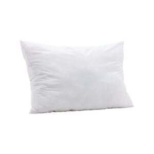 Iris Cushion Inner Poly Microfiber, White, 70X100