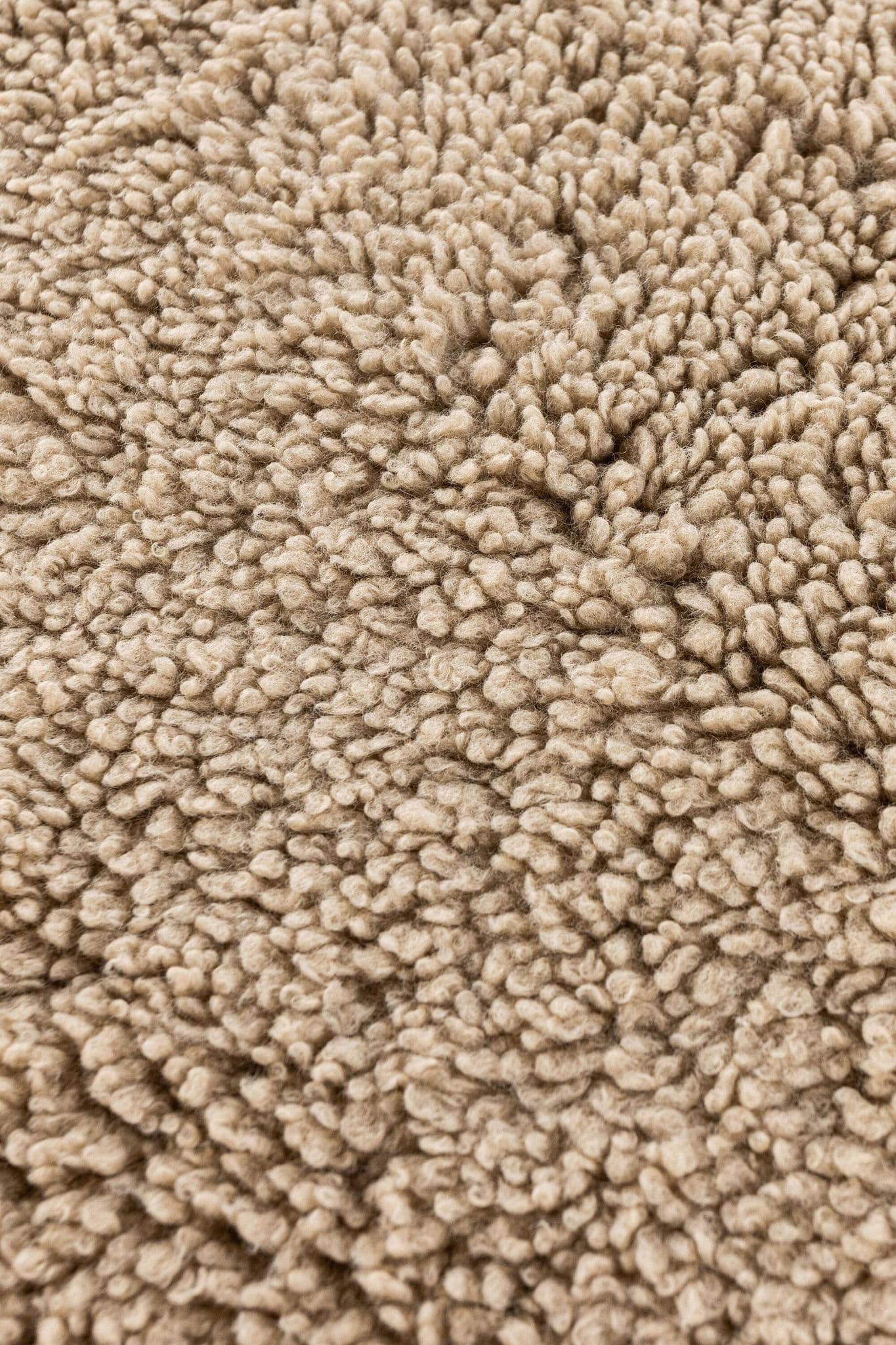 Katy Polyester Teddy, 90X60, Rectangular, Beige - Image 11