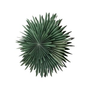 Salen 60 Cm Pendant Lamp - Green